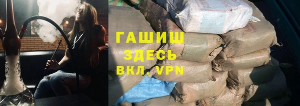 прущие грибы Гусев