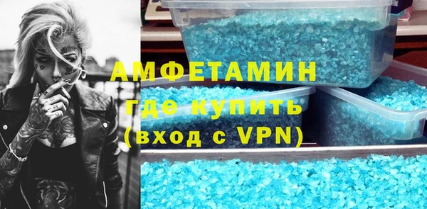 прущие грибы Гусев