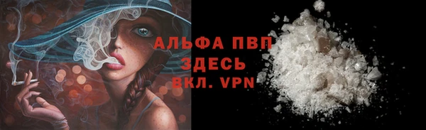 прущие грибы Гусев