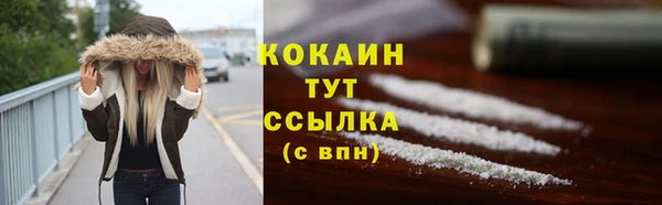 прущие грибы Гусев