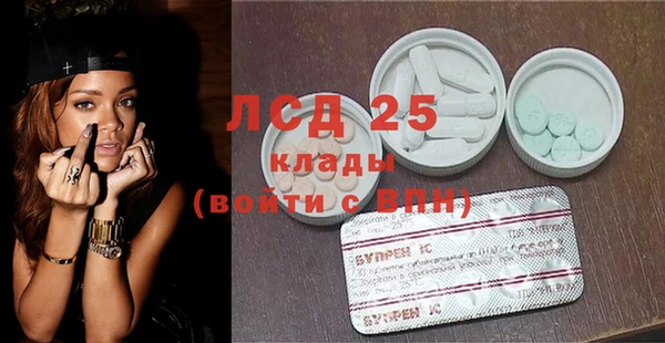 прущие грибы Гусев