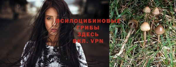 MDMA Гусиноозёрск