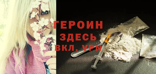 прущие грибы Гусев