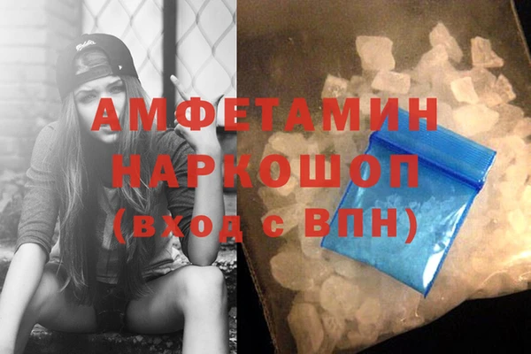 прущие грибы Гусев