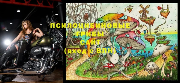 кристаллы Гусь-Хрустальный