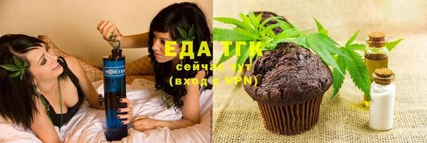 прущие грибы Гусев