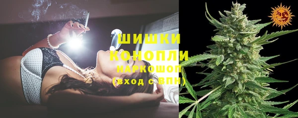 прущие грибы Гусев
