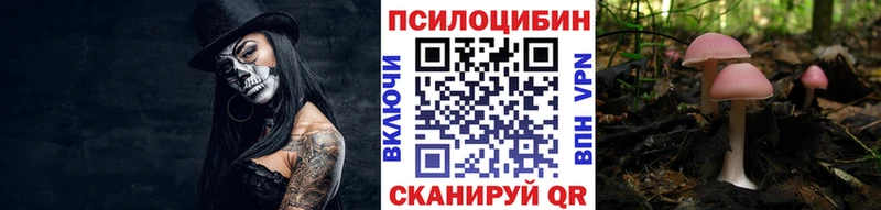 Псилоцибиновые грибы Cubensis Мончегорск