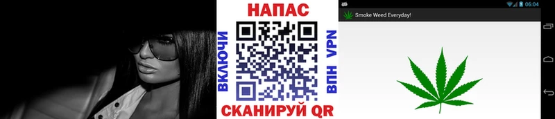 Марихуана конопля KRAKEN ссылки Мончегорск